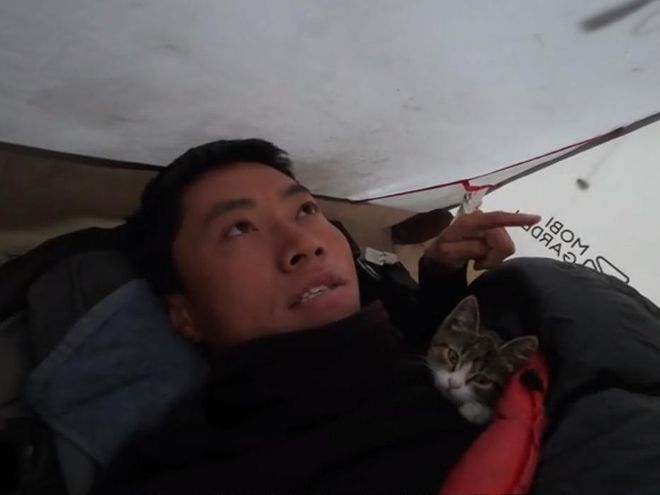 一只猫后涨粉40万还带火了新疆酸奶新利娱乐骑行博主赵朔火了途中捡到(图9)